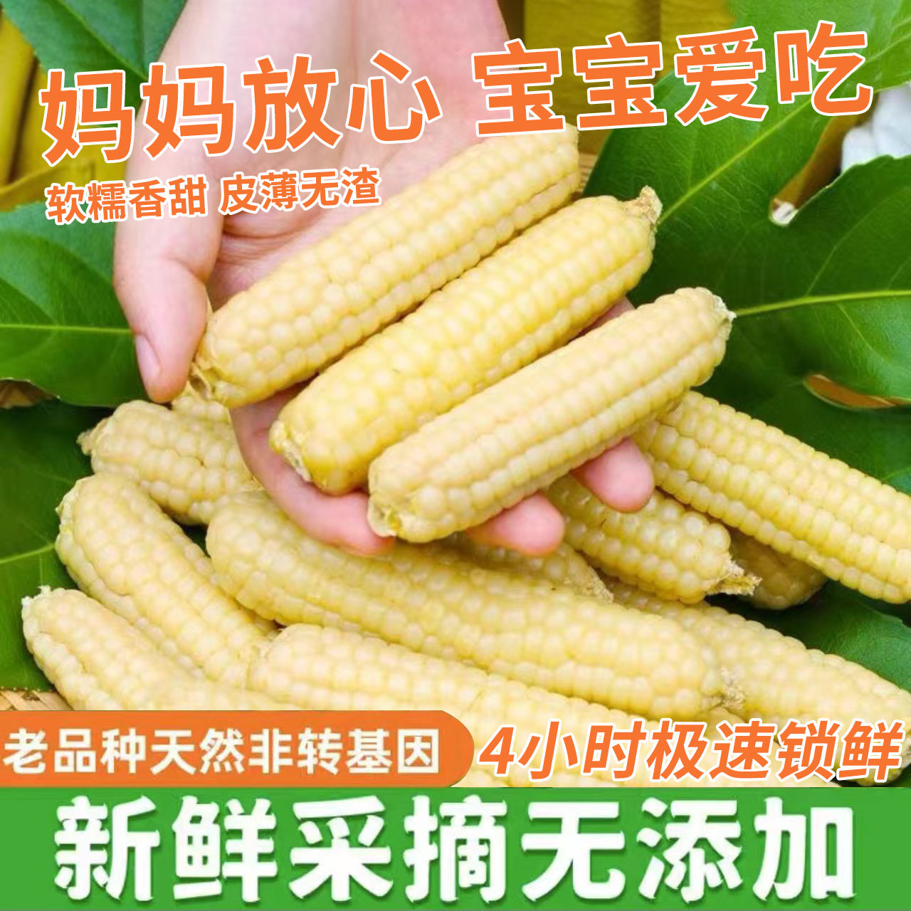 西双版纳拇指玉米真空包装甜糯新鲜拇指玉米儿童早餐营养代餐即食