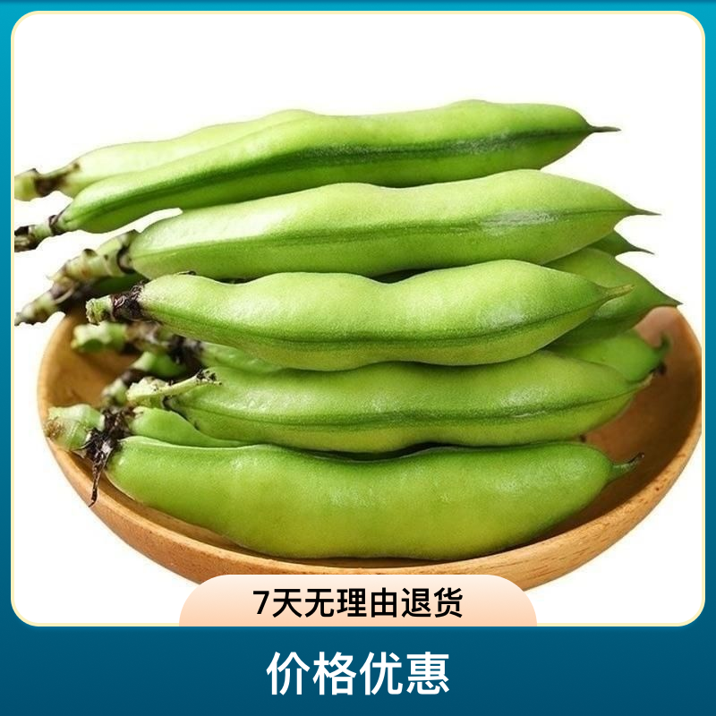 滇农汇云南蚕豆新鲜现摘胡豆罗汉豆净重3斤5斤7斤9斤包邮