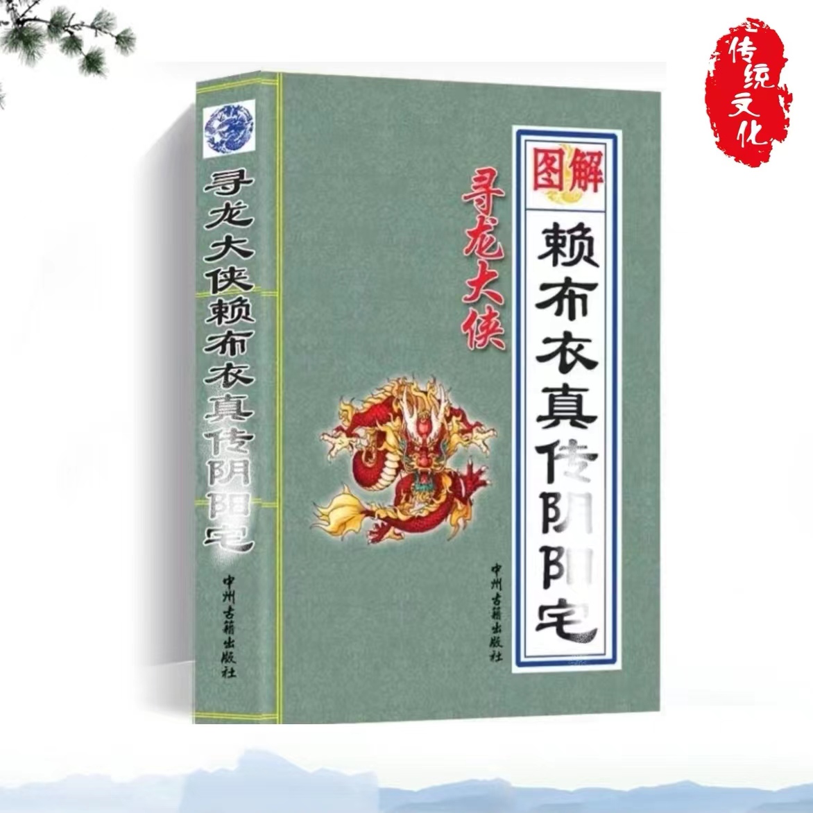 图文并茂图解赖布衣真传通俗易懂无删减完整版413页内容详解白话