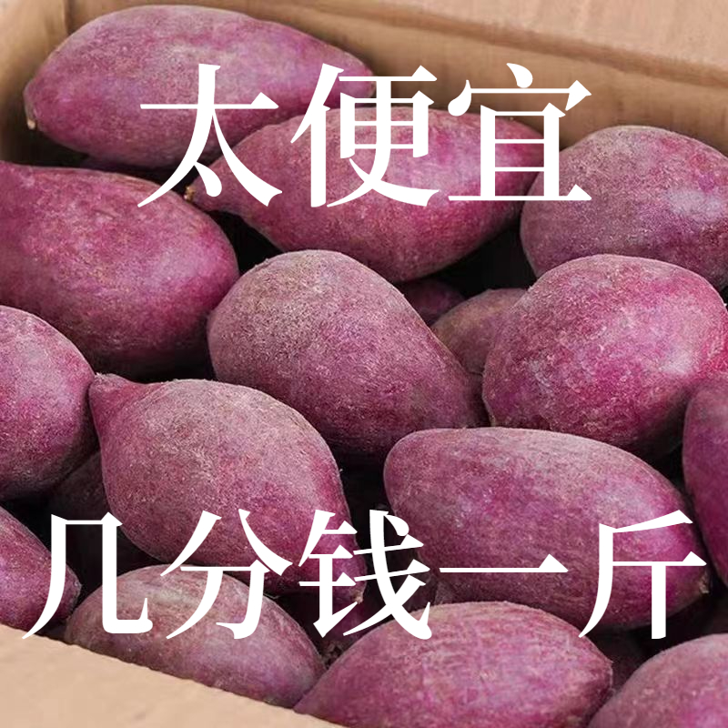 【抢购中】新鲜饱紫薯紫罗兰红薯1-9斤番薯地瓜紫心蜜薯蔬菜板栗薯