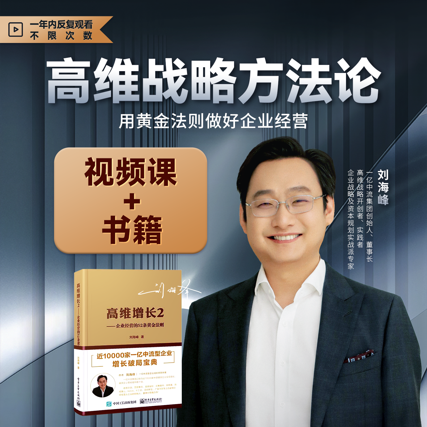 刘海峰老师：高维战略方法论（书+课）