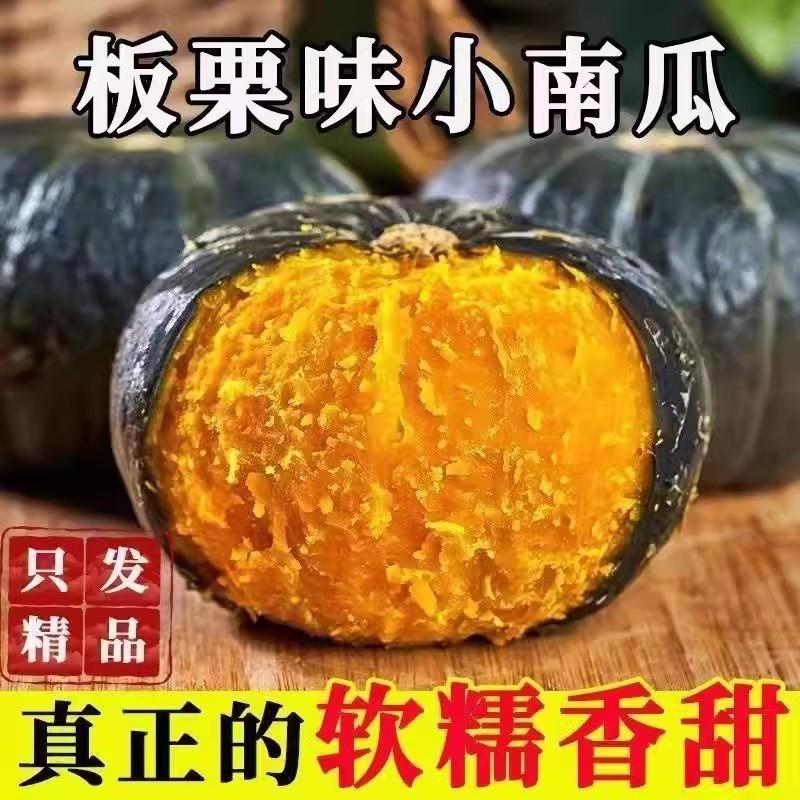 山东正宗贝贝南瓜新鲜当季板栗味南瓜母婴辅食粉糯香甜产地直发