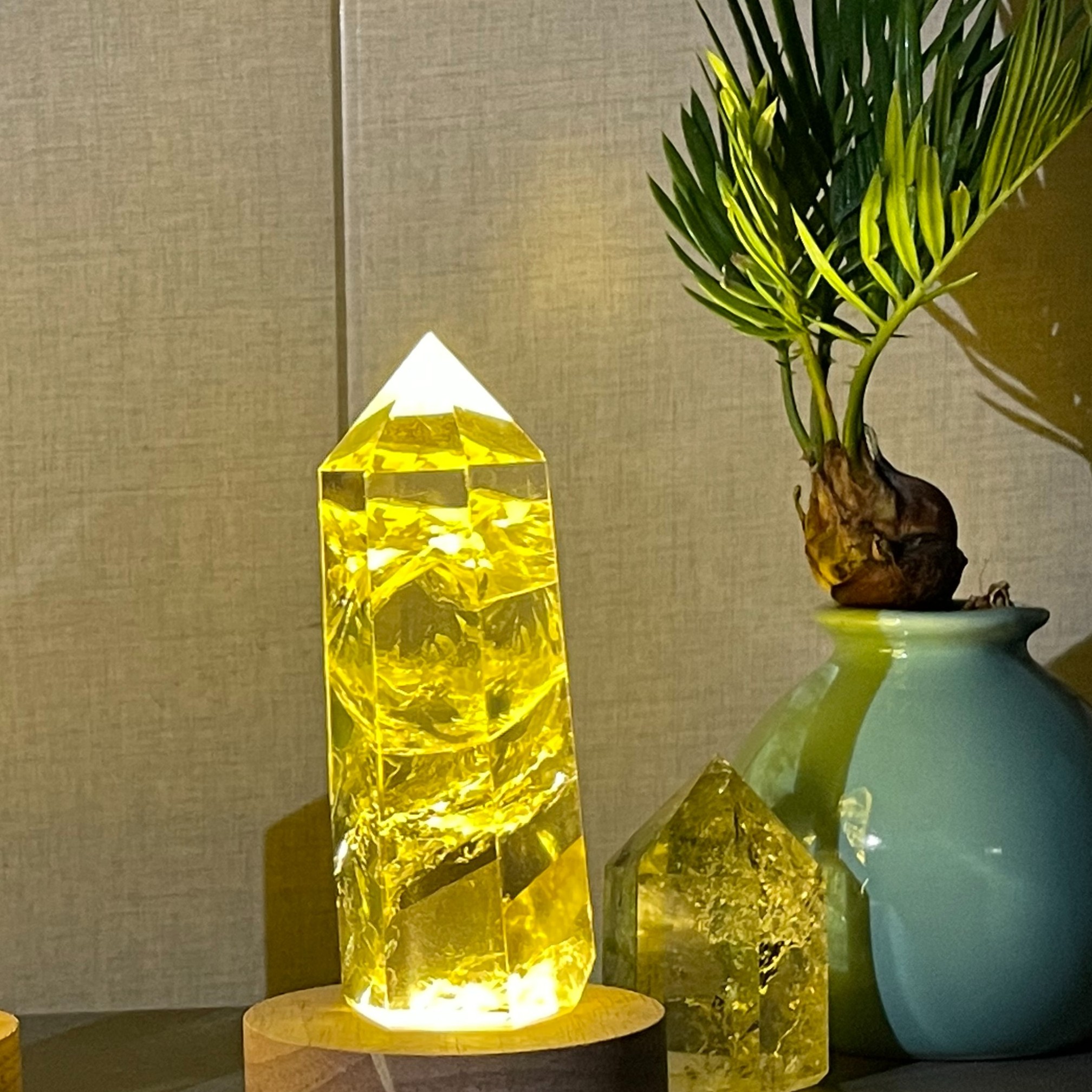剑三玄晶花桌面盆栽 绿植盆栽红枫 小叶紫檀 玄晶榕树 晶串花