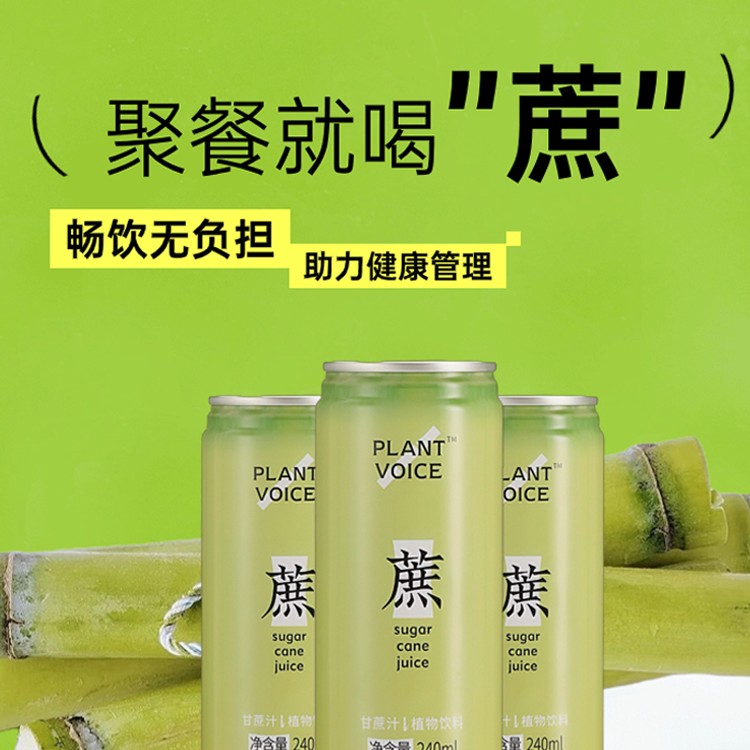 可可大师甘蔗汁低脂健康植物饮料饮品240ml*6罐