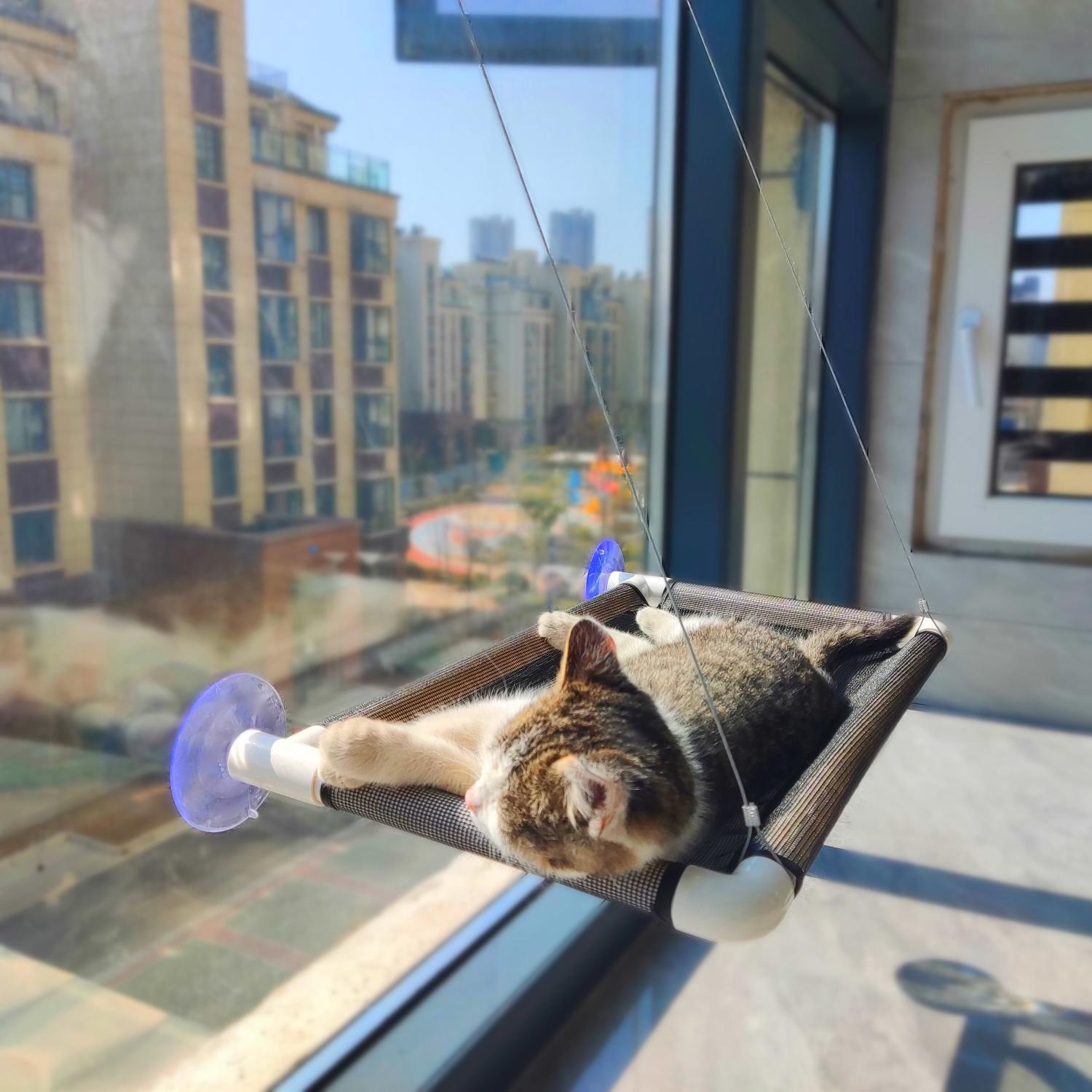 猫吊床吸盘猫窝猫床四季通用猫咪吊床玻璃观景壁挂猫秋千用品结实