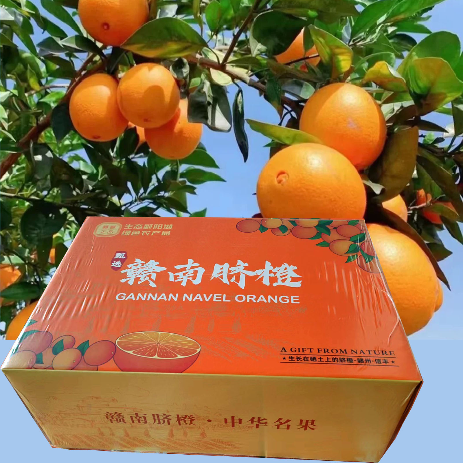 赣南脐橙10斤精品礼盒装信丰县源产地直发化渣高橙香浓皮薄细腻