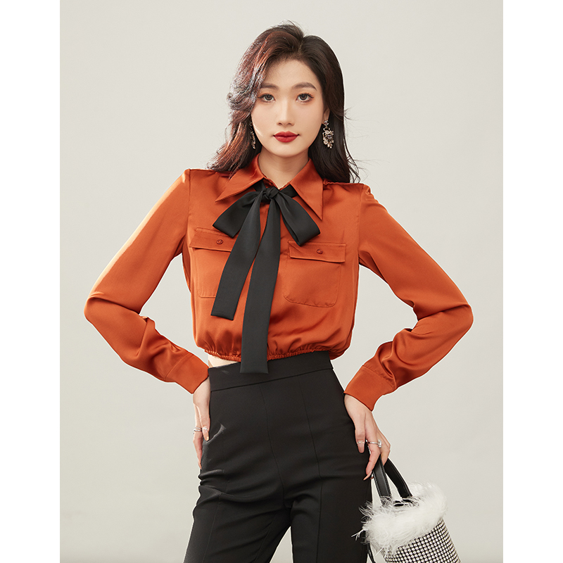 格润雅「柔焦光感」长袖衬衫女新款2024春季时尚气质POLO领系带上衣