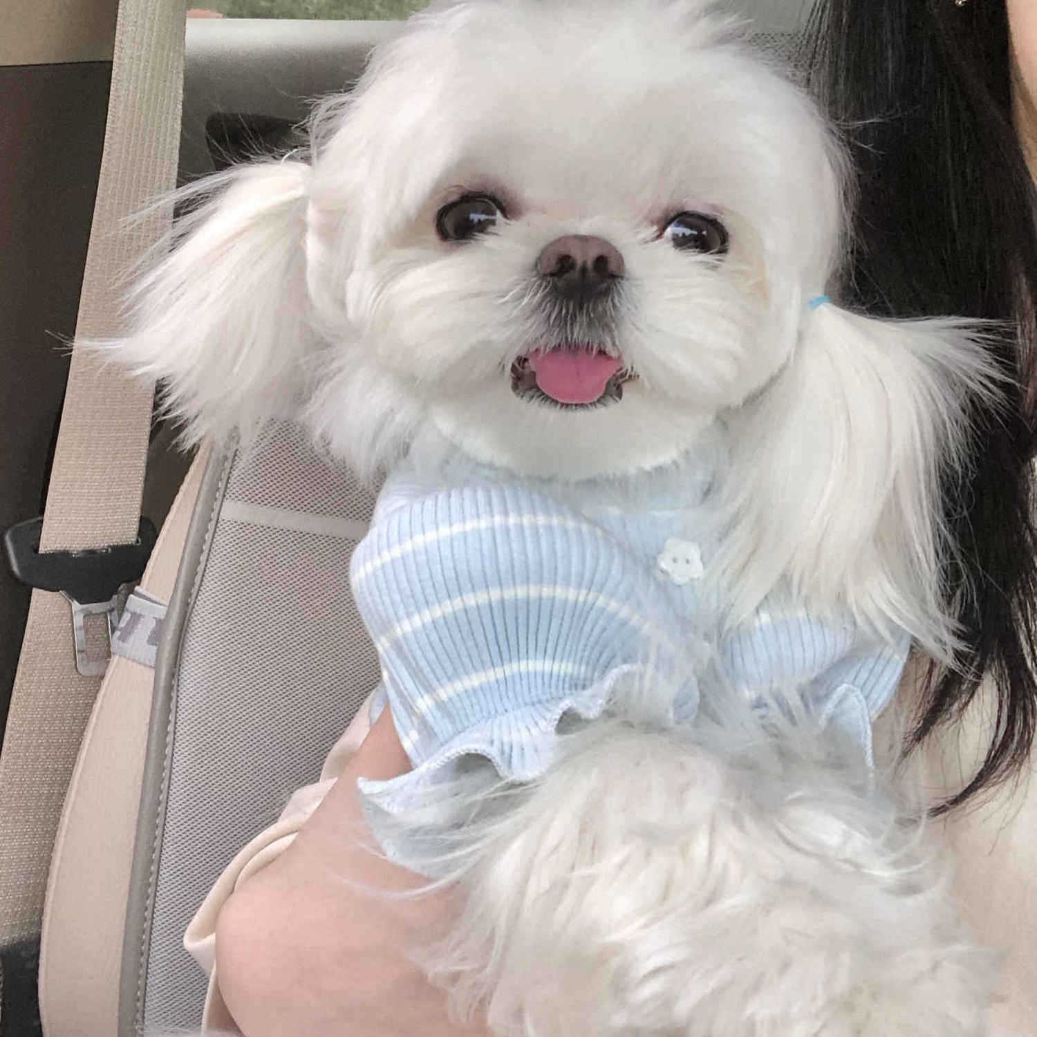 小狗狗衣服宠物春夏无袖薄款马尔济斯幼犬衣服防掉毛可爱ins风