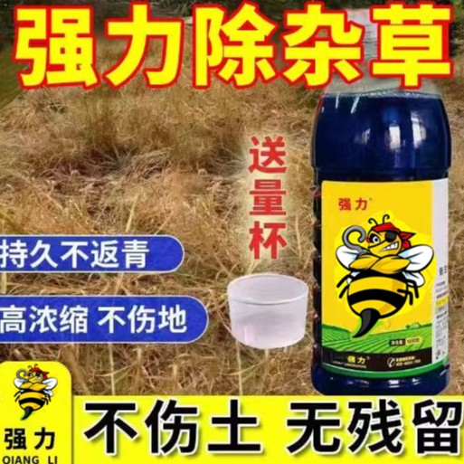 强力高含量抗性牛筋草小飞蓬果园园林田埂助剂有机质肥料水溶种植