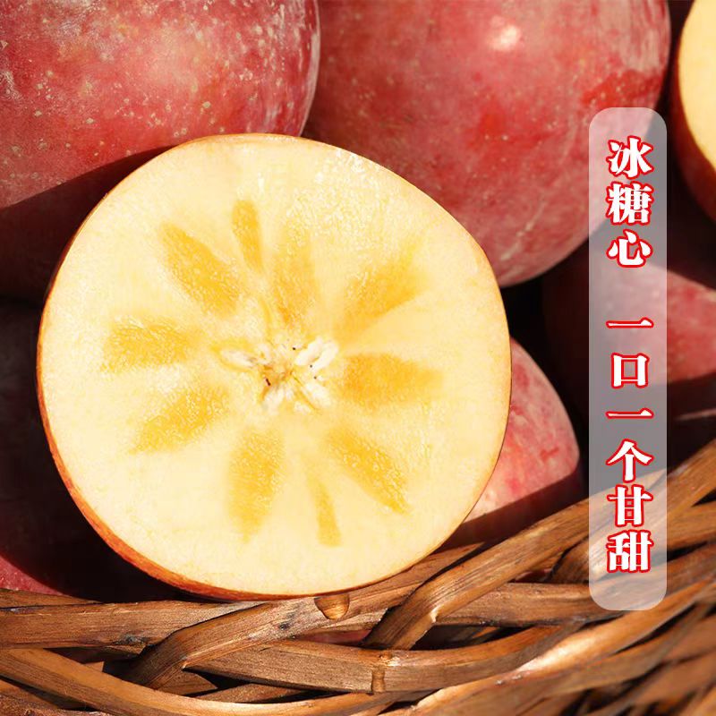 2024年新鲜水果正宗的山东红富士苹果个大冰糖心整箱批发