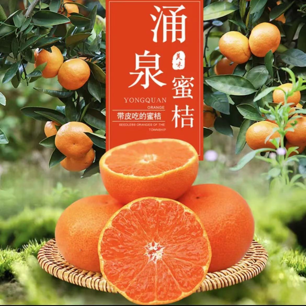临海正宗涌泉高山无核蜜桔优质橘子桔子新鲜发货包邮涌泉蜜桔蜜橘