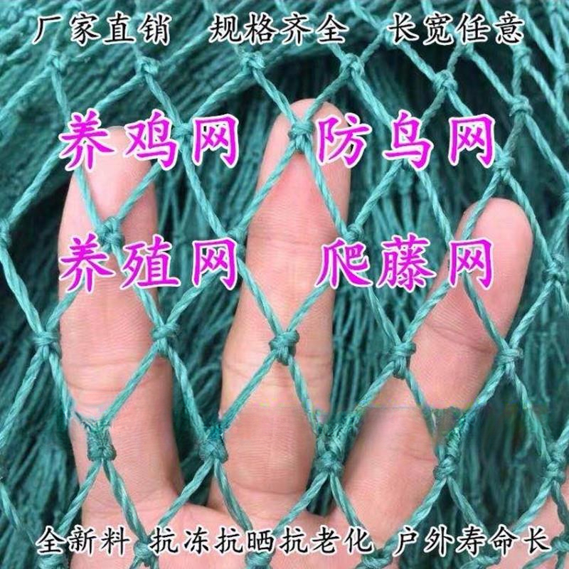 尼龙养殖网养鸡网山鸡网围栏网护栏网拦鸡网菜园网防护网防鸟网
