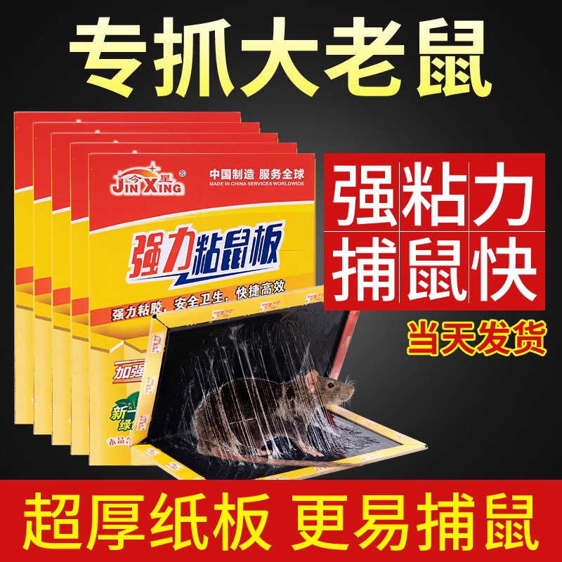 老鼠粘强力粘鼠板捉粘大老鼠贴沾胶超强灭鼠捕鼠利器居家日用套装