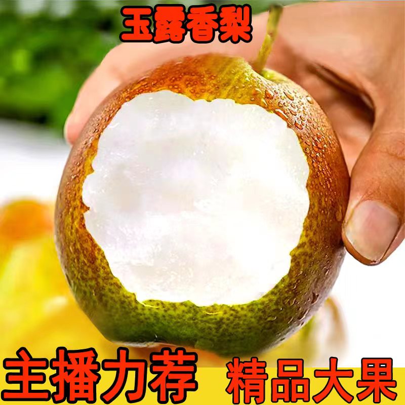 水果产地直发当季现摘新鲜脆甜梨正宗山西隰县玉露香梨整箱10/5斤