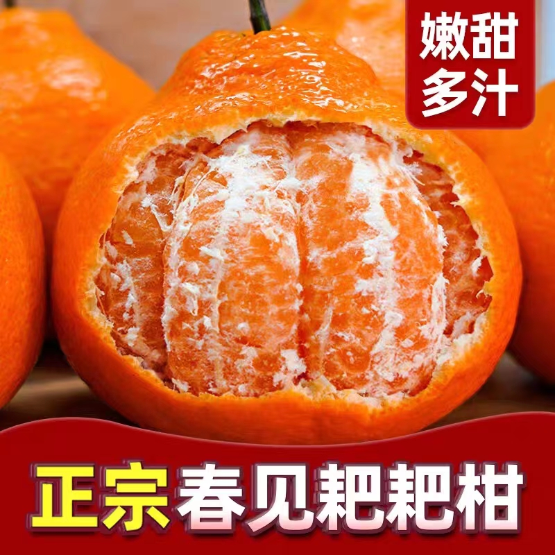 【果园直发】现摘现发正宗四川耙耙柑新鲜水果爆甜爆汁净重8斤
