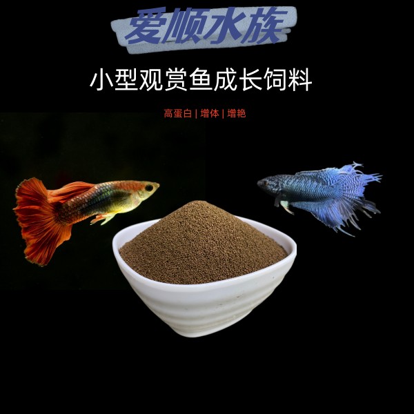 小型观赏鱼通用高蛋白增红上浮性颗粒饲料优质鱼粉营养多种维生素