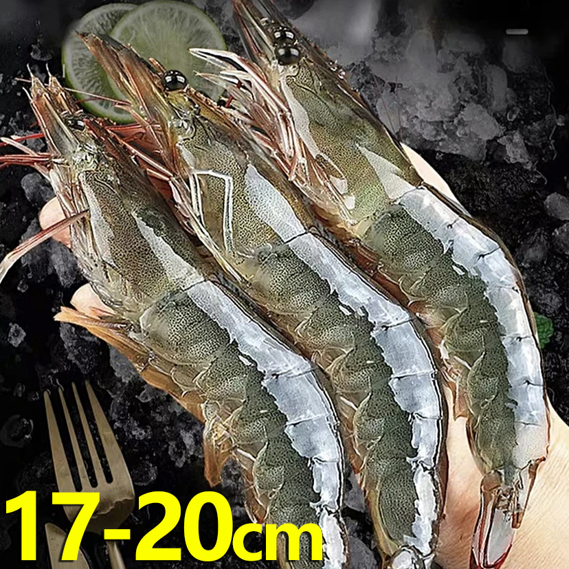 海洋大虾约17cm-20cm/条 活冻锁鲜非活发  净重约3斤保鲜40-51只