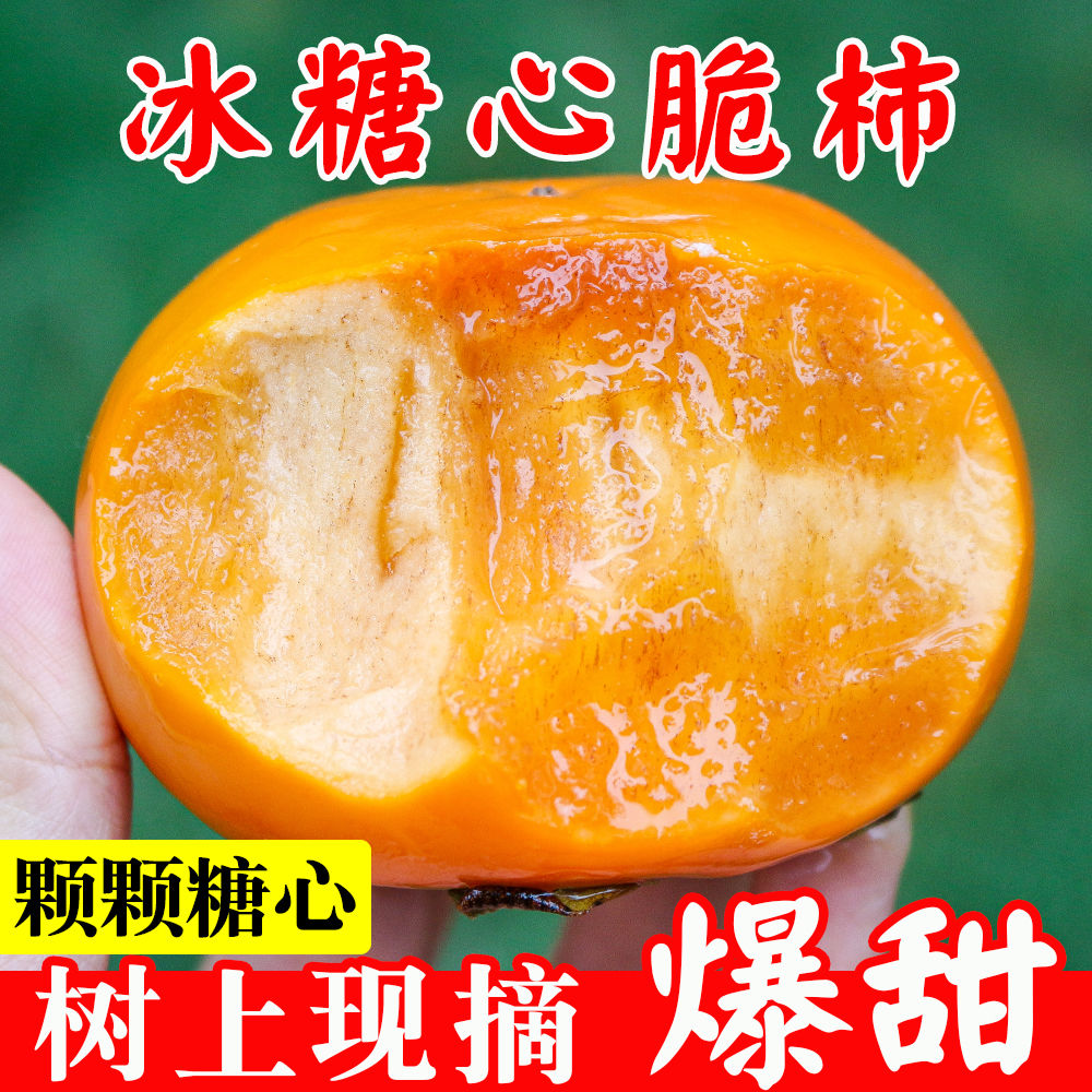 【果农现摘】广西巧克力甜脆柿子水果当季新鲜硬柿子冰糖脆皮柿子
